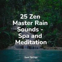 25 Zen Master Rain Sounds - Spa and Meditation