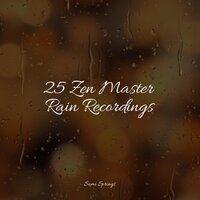 25 Zen Master Rain Recordings