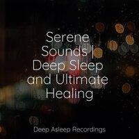 Serene Sounds | Deep Sleep and Ultimate Healing