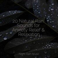 20 Natural Rain Sounds for Anxiety Relief & Relaxation