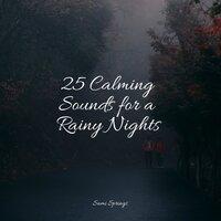 25 Calming Sounds for a Rainy Nights