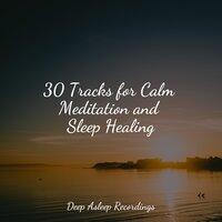 30 Tracks for Calm Meditation and Sleep Healing
