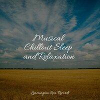Musical Chillout Sleep and Relaxation