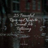 25 Peaceful Rain and Nature Sounds for Relaxing