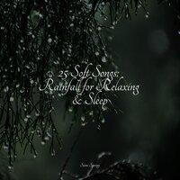 25 Soft Songs: Rainfall for Relaxing & Sleep