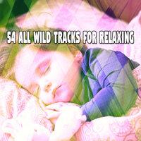 54 All Wild Tracks for Relaxing