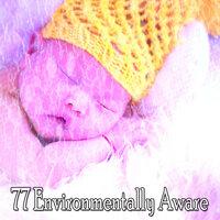 77 Environmentally Aware