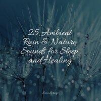 25 Ambient Rain & Nature Sounds for Sleep and Healing
