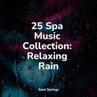 25 Spa Music Collection: Relaxing Rain