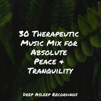 30 Therapeutic Music Mix for Absolute Peace & Tranquility