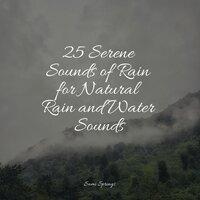 25 Serene Sounds of Rain for Natural Rain and Water Sounds
