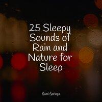 25 Sleepy Sounds of Rain and Nature for Sleep