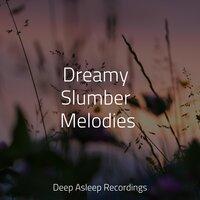 Dreamy Slumber Melodies