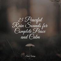 25 Peaceful Rain Sounds for Complete Peace and Calm