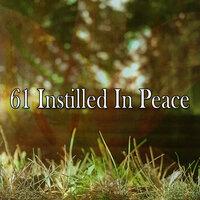 61 Instilled in Peace