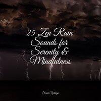 25 Zen Rain Sounds for Serenity & Mindfulness
