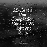 25 Gentle Rain Compilation: Summer 25 Light and Relax