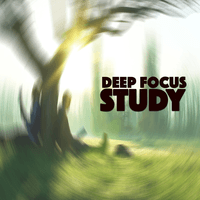Deep Focus Study