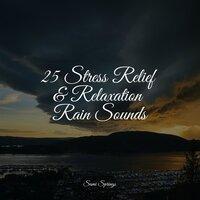 25 Stress Relief & Relaxation Rain Sounds