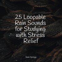 25 Loopable Rain Sounds for Studying with Stress Relief