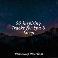 30 Inspiring Tracks for Spa & Sleep