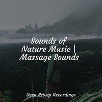 Sounds of Nature Music | Massage Sounds