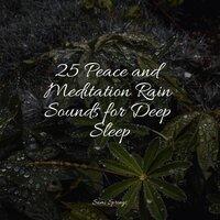 25 Peace and Meditation Rain Sounds for Deep Sleep