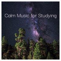 Calm Music for Studying