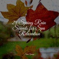 25 Spring Rain Sounds for Spa Relaxation