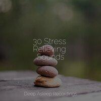 30 Stress Relieving Sounds