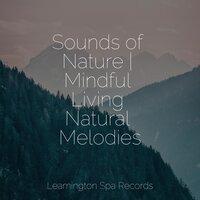 Sounds of Nature | Mindful Living Natural Melodies