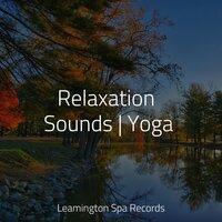 Relaxation Sounds | Yoga