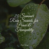 25 Summer Rain Sounds for Peace & Tranquility