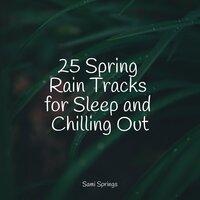 25 Spring Rain Tracks for Sleep and Chilling Out