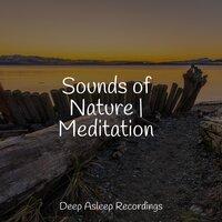 Sounds of Nature | Meditation