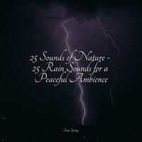 25 Sounds of Nature - 25 Rain Sounds for a Peaceful Ambience