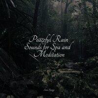 Peaceful Rain Sounds for Spa and Meditation