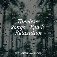 Timeless Songs | Spa & Relaxation