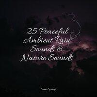 25 Peaceful Ambient Rain Sounds & Nature Sounds