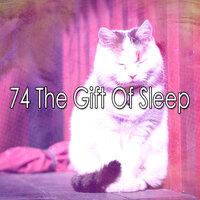 74 The Gift of Sleep