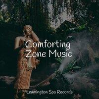 Comforting Zone Music
