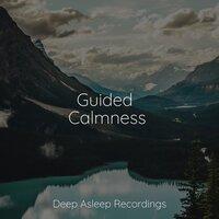 Guided Calmness