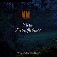 Pure Mindfulness