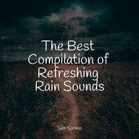 The Best Compilation of Refreshing Rain Sounds