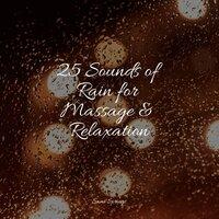25 Sounds of Rain for Massage & Relaxation
