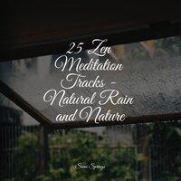 25 Zen Meditation Tracks - Natural Rain and Nature
