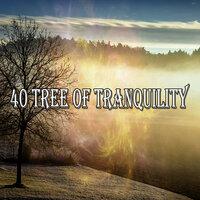 40 Tree of Tranquility