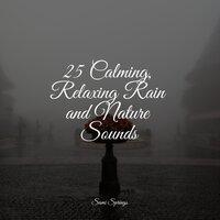 25 Calming, Relaxing Rain and Nature Sounds