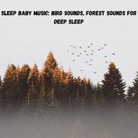 Sleep Baby Music: Bird Sounds, Forest Sounds for Deep Sleep