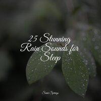 25 Stunning Rain Sounds for Sleep